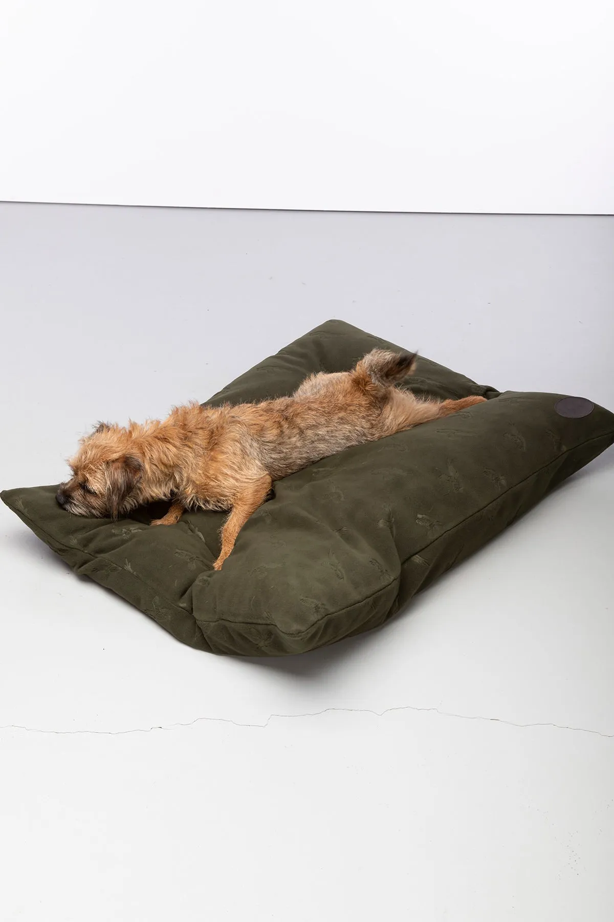 Fleece Dog Cushion - Haxby