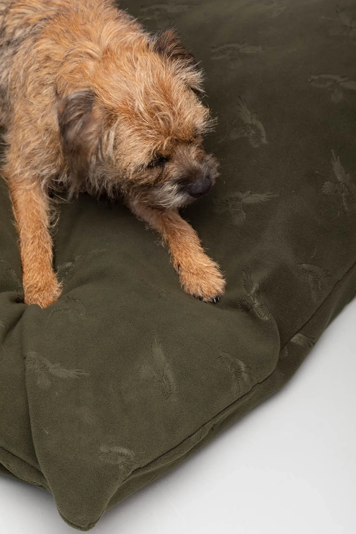 Fleece Dog Cushion - Haxby