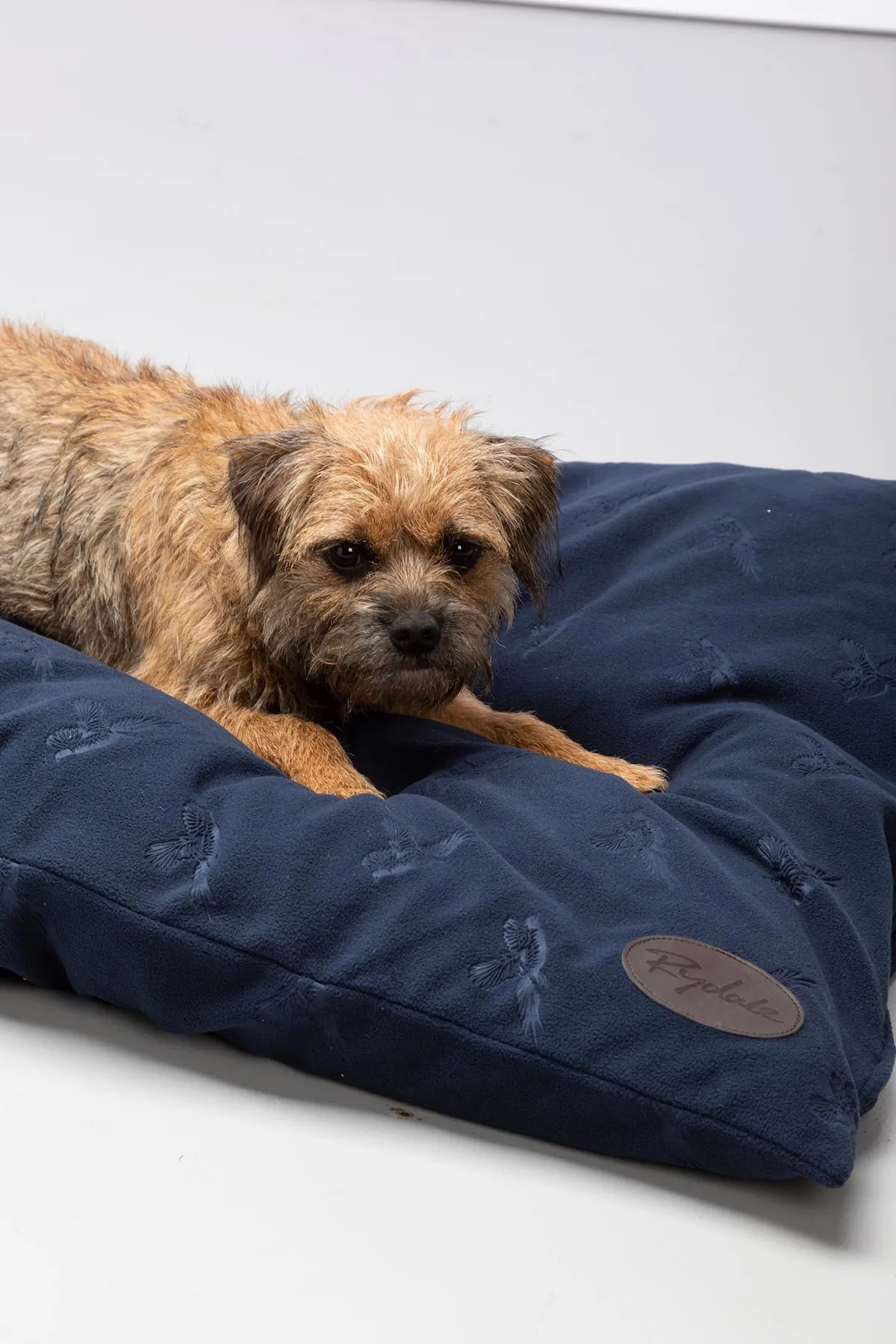 Fleece Dog Cushion - Haxby