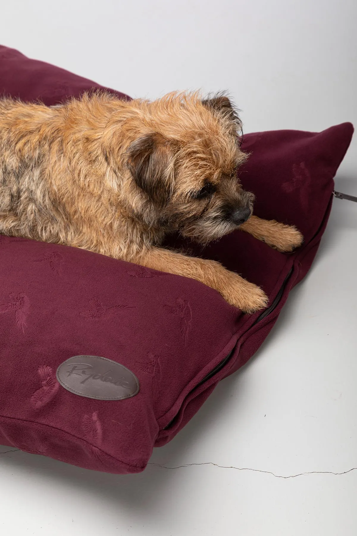 Fleece Dog Cushion - Haxby