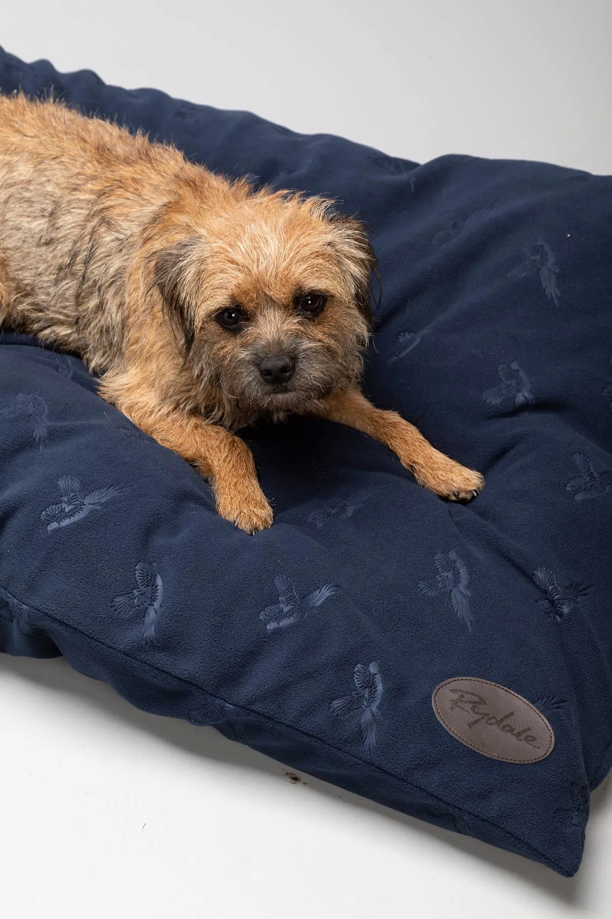 Fleece Dog Cushion - Haxby