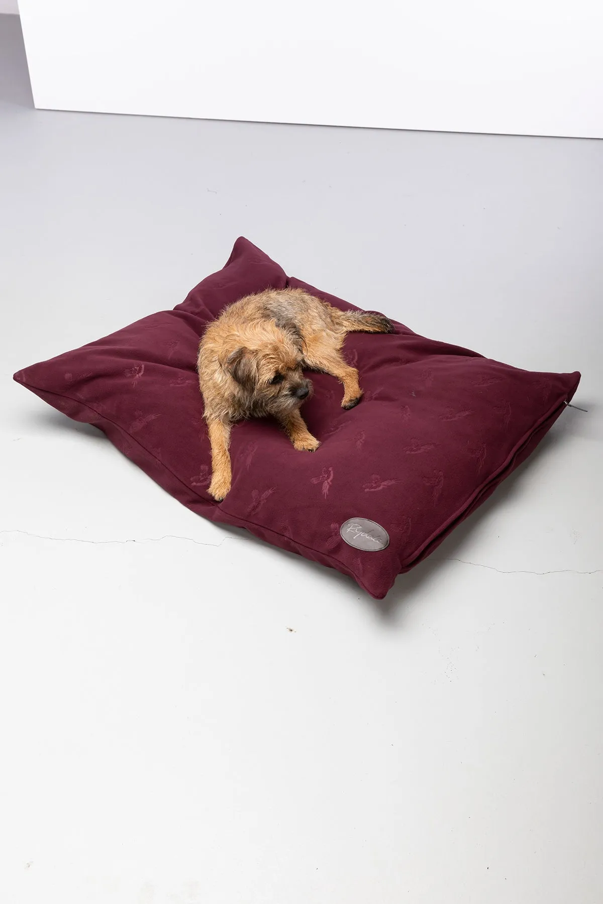 Fleece Dog Cushion - Haxby