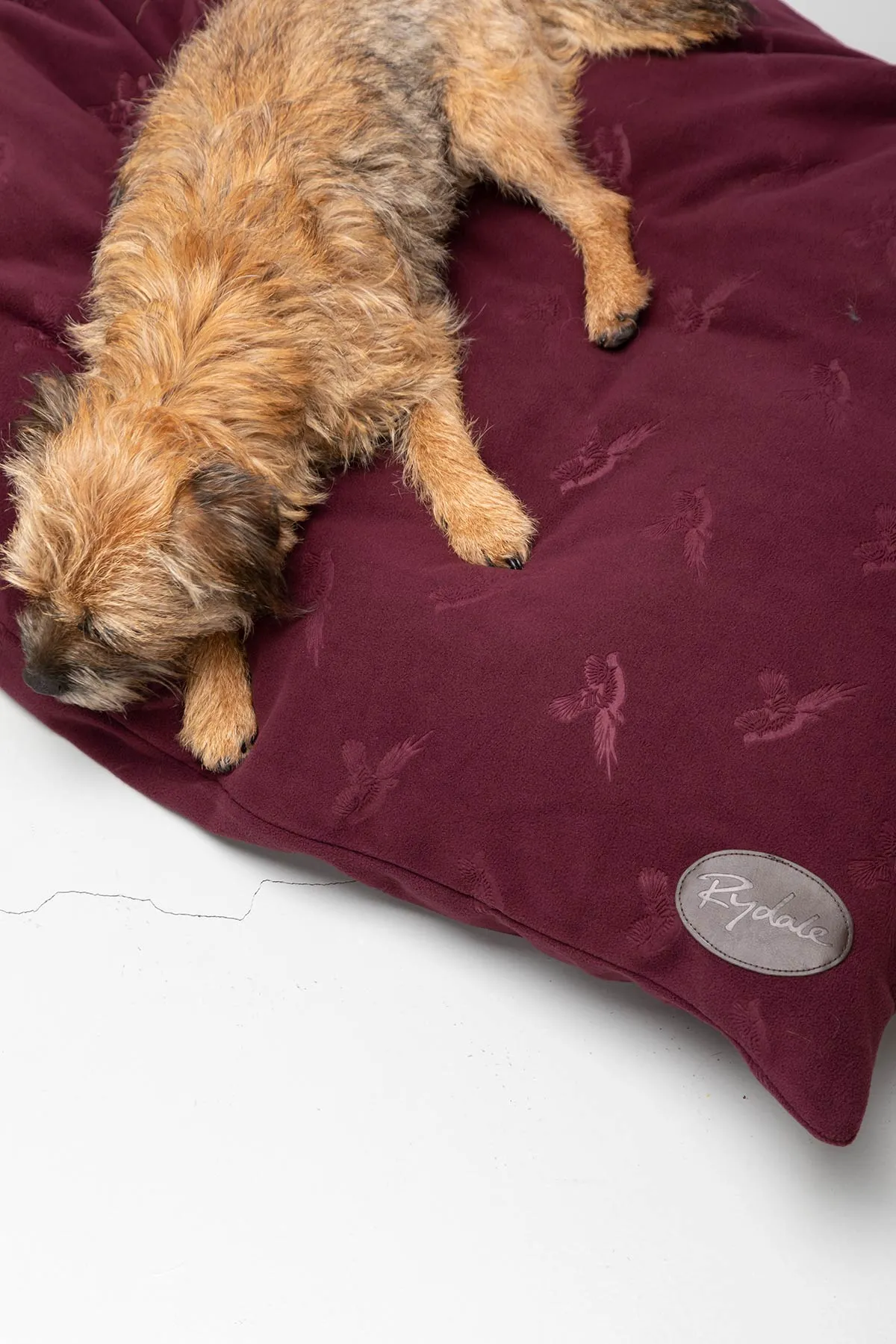 Fleece Dog Cushion - Haxby