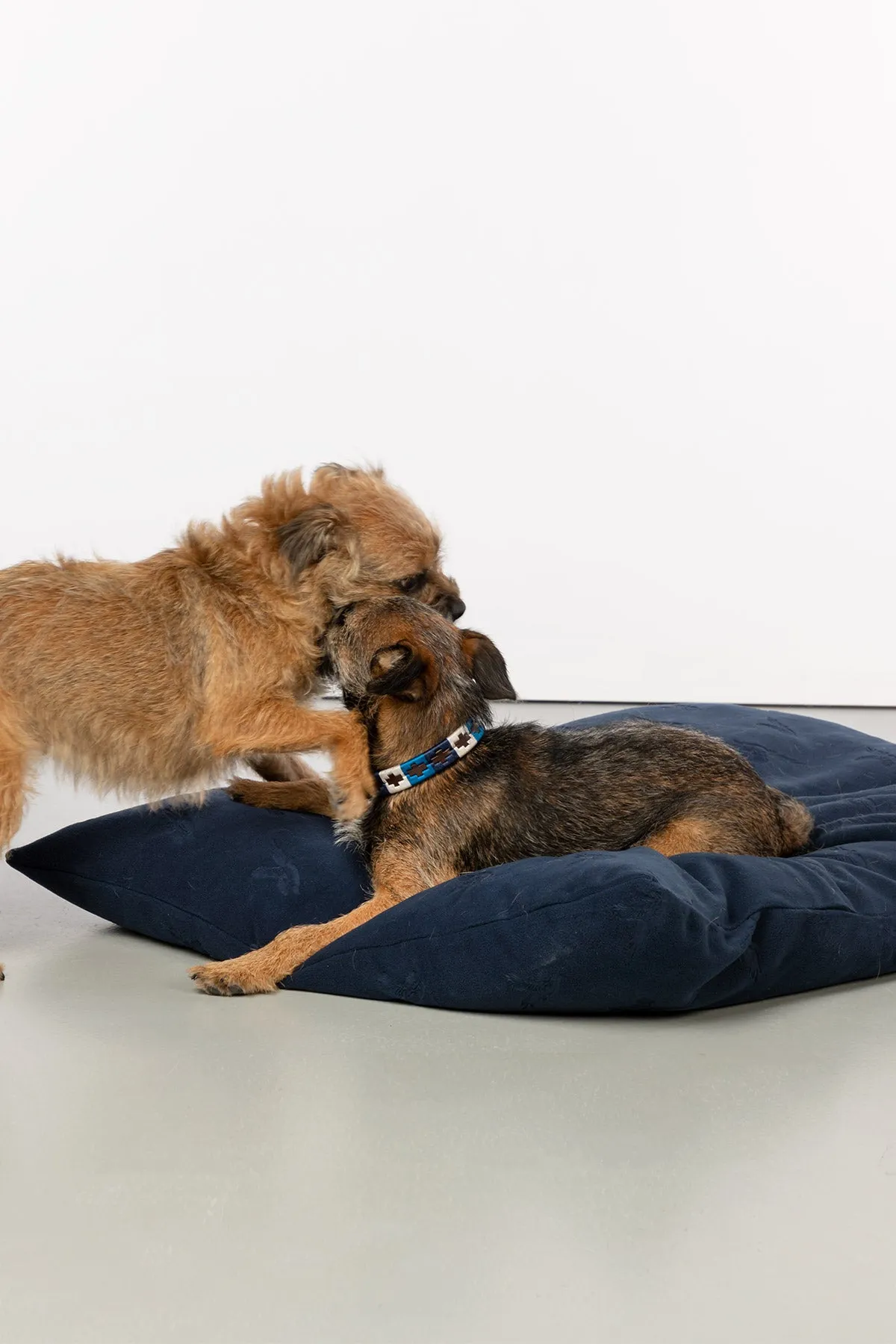 Fleece Dog Cushion - Haxby