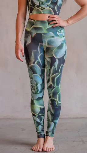 Green Envy - Athleisure Leggings