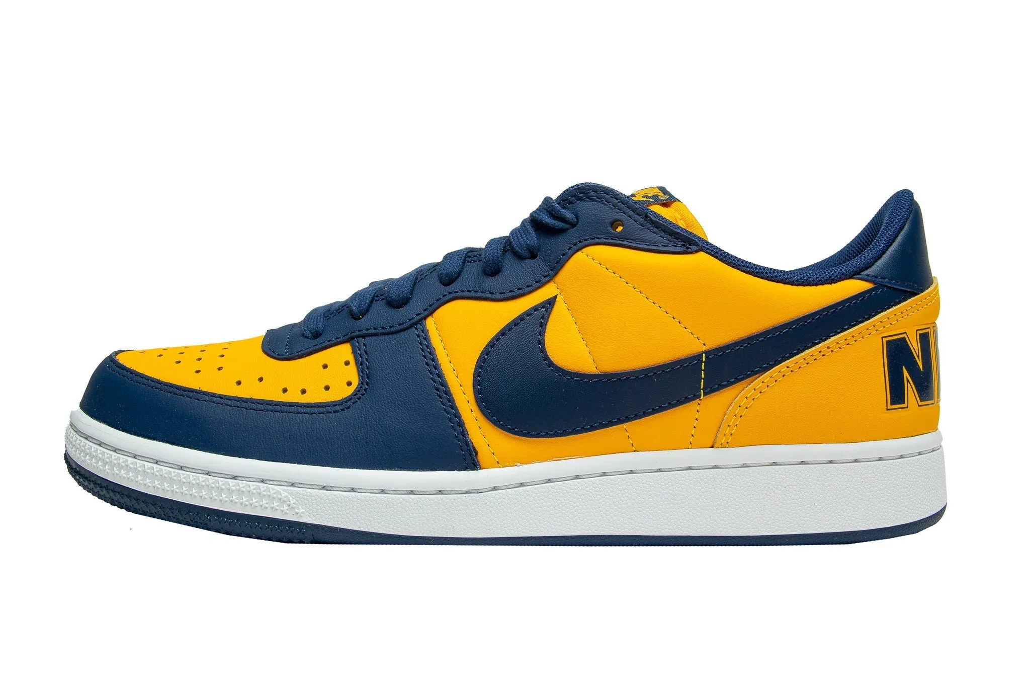 Nike Terminator Low "Michigan" - Men