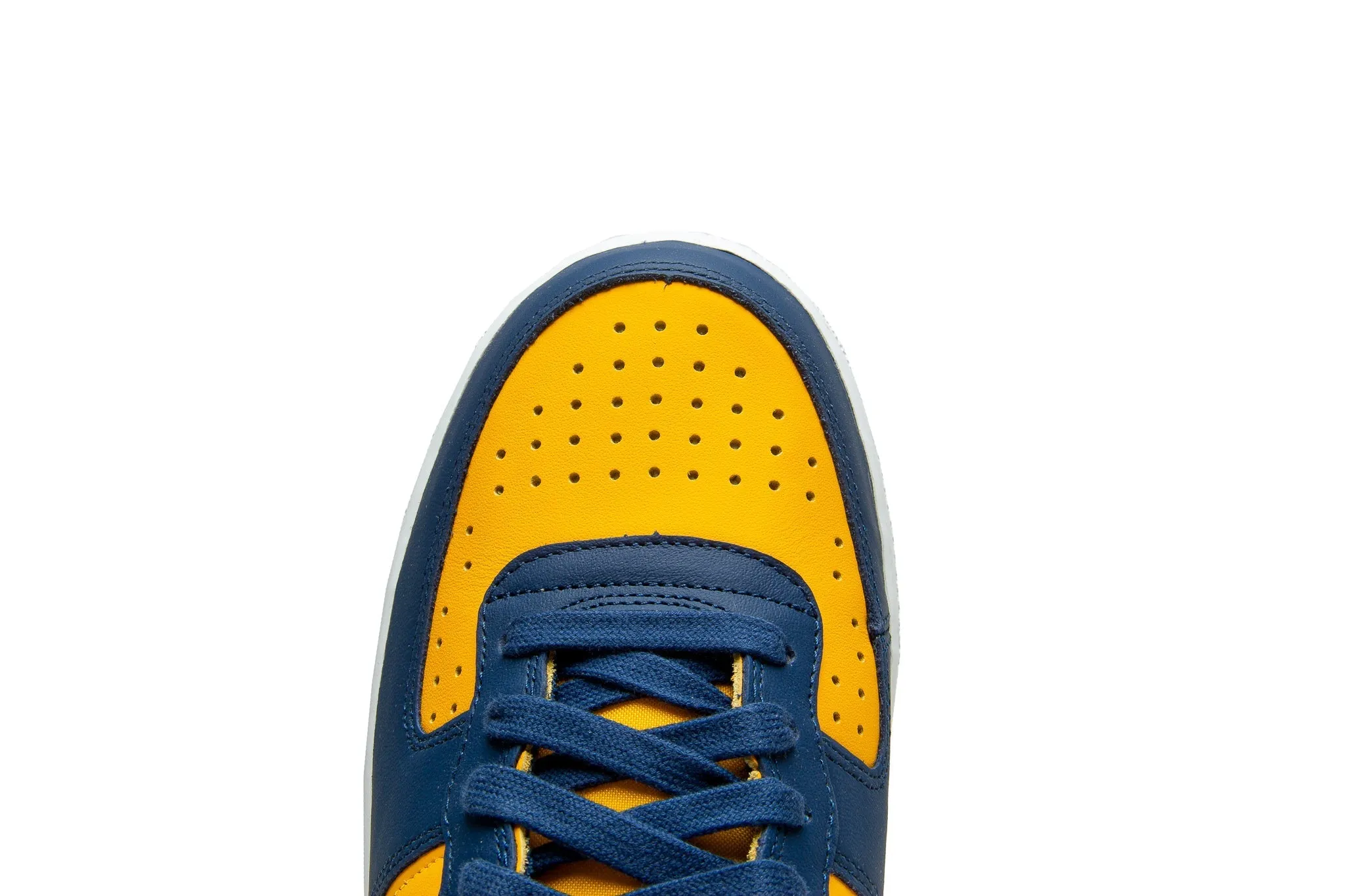 Nike Terminator Low "Michigan" - Men