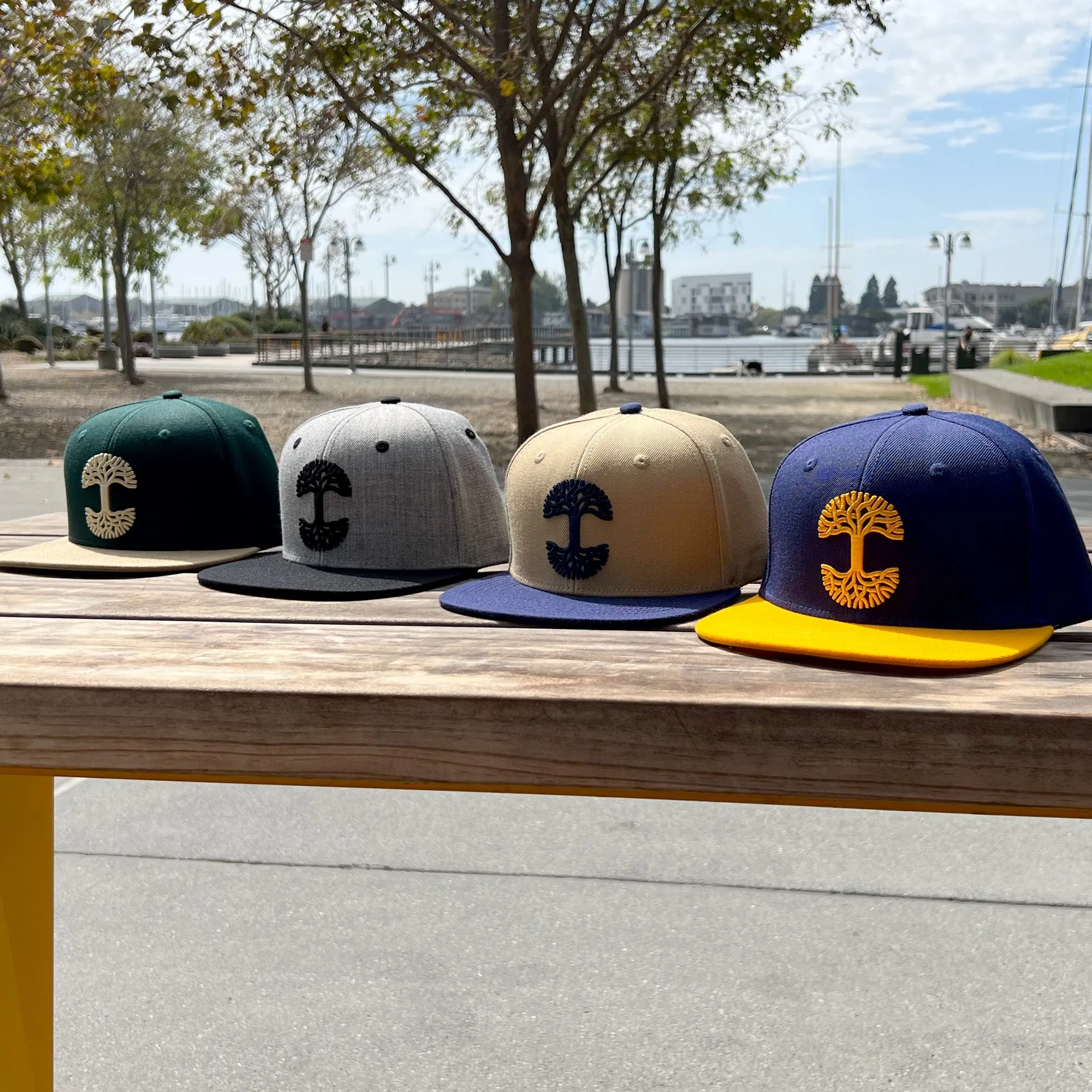 Oaklandish Classic Snapback